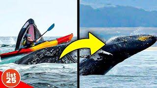 25 Facts That'll Make You Stop and Say I Can’t Believe I Didn’t Know That