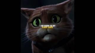 Greatest Dreamworks Movie | Puss In Boots Edit