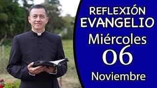 Evangelio de Hoy Miércoles 06 de Noviembre de 2024  Lectura y Reflexión