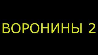 #ВОРОНИНЫ  ПАРОДИЯ НА ВОРОНИНЫ 2