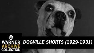 Dark and Stormy | Dogville Shorts | Warner Archive