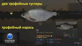 Fisher Online / трофейный карась и две трофейные густеры, пруд Дукора