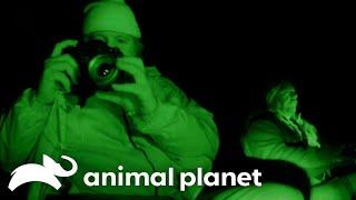 Did The Team Spot Bigfoot?! | Finding Bigfoot | Animal Planet