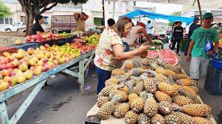 NAS FEIRAS DE PERNAMBUCO TEM 2 MELANCIAS POR 5 REAIS. ISTO É NORDESTE!