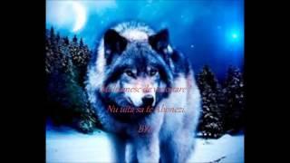 Metin2.ro Polaris~ Lvl up . Cum bate un Lycan in V4 .