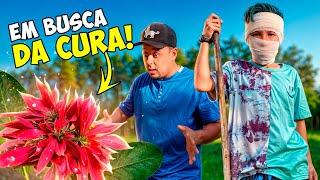 SOBREVIVI NA FLORESTA *atrás da cura #viral #comedy #love