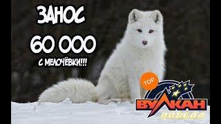 60 000 РУБЛЕЙ С 3000 НА АВТОМАТЕ POLAR FOX!!! ВУЛКАН КАЗИНО