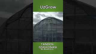 МАНА БИЗНИ ИССИҚХОНАНИ ФАРҚИ НИМАДА #uzgrow