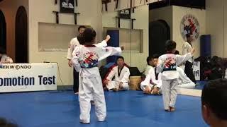 Titus BlueBelt Test 122117