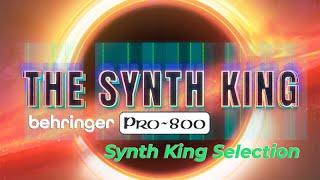 Behringer PRO-800 Synth King Selection - 50 premium presets with leads, basses, pads, sweeps and fx