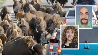 Cowboy State Daily Video News: Wednesday, June 11, 2025