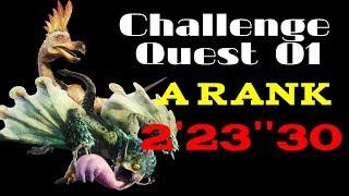 Monster Hunter World - Challenge Quest 1 Beginner - PC Gameplay - How to A Rank - Minitaur89