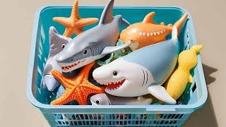 Marine Life Adventure: Puffer, Clown, Tang, Eel, Goldfish, Sea Horse, #Dolphin #Shark #Starfish