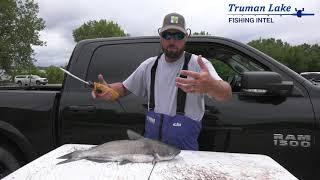 Jeff Faulkenberry shows how he cleans a catfish!