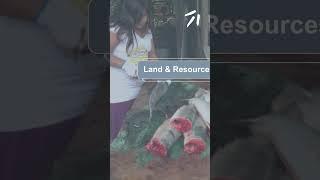 Treaty Talks - Treaty 101