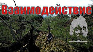 СТРОИМ БОЛЬШОЕ ГНЕЗДО ВСЕЙ СТАЕЙ The Isle Evrima