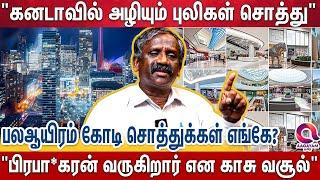 "ஐரோப்பாவில் உள்ள புலிகள் சொத்துக்களை கொள்ளையடிக்கும் மோசடி கும்பல்"? - Journalist Pandian Exclusive