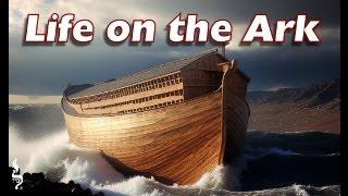 Life on the Ark | Noach | Aliyah 3