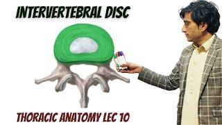 intervertebral disc anatomy by zawar yousafzai.