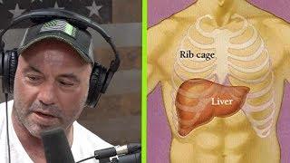 What a Liver Shot Really Feels Like | Joe Rogan