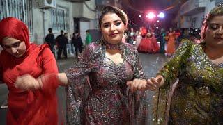 Yeni Kürtçe Halay 2024 Segavi - Siirt Düğünleri - Kurdish Wedding