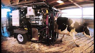 INCREDIBLE MACHINES AT WORK // Worlds BEST hoof trimming crush? | The Hoof GP