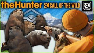 I Hunted EVERY Beaver To Get A Diamond On Askiy Ridge! Call of the wild EARLY ACCESS