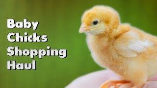 Baby Chicks Shopping Haul