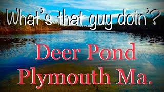 Fishing Deer Pond, Plymouth, Ma. A frustrating day.