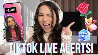 Live Streaming For Dummies: How to Set Up TikTok Alerts (TikFinity)