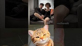 dangerous movement  #cat #meme #dance #trending