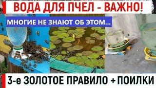 Вода для пчел - это важно! Как напоить пчел правильно. Обзор поилок.