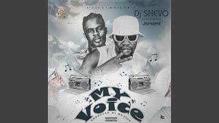 My voice (feat. Jamzeal)