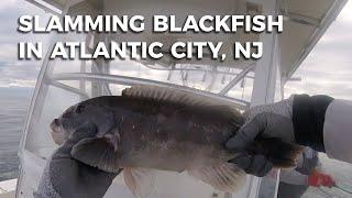 Tog Fishing out of Atlantic City in December