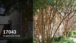 17043 Planters Row | Addison Real Estate