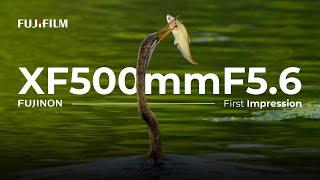 The Ultimate Lens for Wildlife Photography | Fujinon XF500mmF5.6 | Fujifilm X India