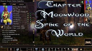 Neverwinter Nights Enhanced Edition Chapter 3 Moonwood Spine of the World