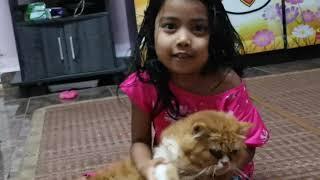 ArYaNa N AsLaN