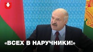 Кого и за что разносил Лукашенко. По следам «обоср…ных коров» (очень эмоционально)