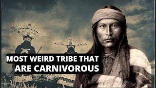 Apache tribe Society and Culture | Apache facts and history