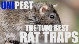 The Best Two Rat Traps for Rat Control in Santa Clarita with Unipest Pro Cardon Ellis