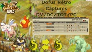 FULL Captures DROP DOFUS =DC/DV/TOT/TOROR/Péki GAROU !!️