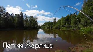 ЛЕТНЯЯ ЖЕРЛИЦА #рыбалка #щука #спининг #fishing #pike #pikefishing #perch