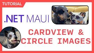 .NET MAUI CardViews & Circle Images with Borders, Shapes, and Shadows