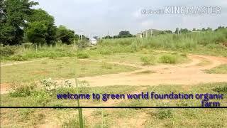 Welcome to  GREEN WORLD FOUNDATION