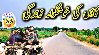 Village life beautiful scenes || Desi Urdu vloggers | anas raj vlogs