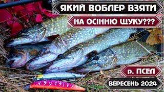 На ЯКИЙ ВОБЛЕР ЛОВИТИ ЩУКУ ВОСЕНИ ⁉️ ДЕШЕВА РЕПЛІКА  утерла ніс ЯПОНСЬКИМ ОРИГІНАЛАМ!