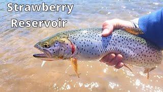 Shore Fishing Strawberry Reservoir - Utah Trout Fishing Summer 2022