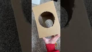 making a diy hamster hut!!