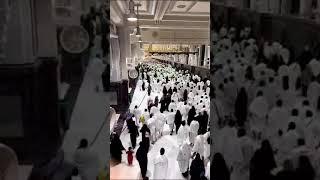 What do pilgrims do on Hajj on the Day of 'Arafah? #hajj #hajj2023 #islam #viral #like #trending